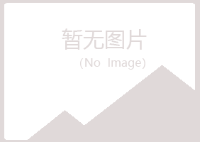 鹤城区白山建设有限公司